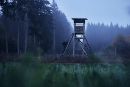 Jan D&uuml;felsiek Photography