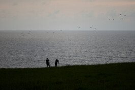 Jan D&uuml;felsiek Photography