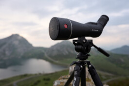 Jan D&uuml;felsiek Photography