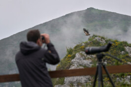 Jan D&uuml;felsiek Photography
