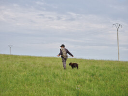 Jan D&uuml;felsiek Photography
