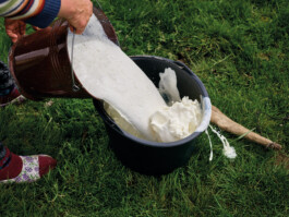 Jan D&uuml;felsiek Photography