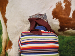 Jan D&uuml;felsiek Photography