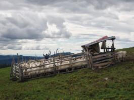 Jan D&uuml;felsiek Photography