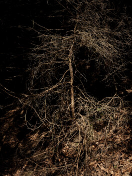 Jan D&uuml;felsiek Photography